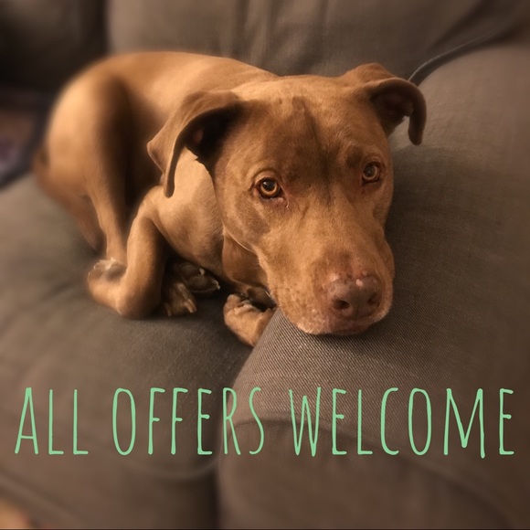 This is not my dog - Picture 2 of 2